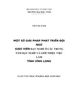 Một số giải pháp phát triển đội ngũ giáo viên dạy nghề ở các trung tâm dạy nghề và giới thiệu việc làm tỉnh vinh long