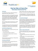 Các Sự Kiện về Cúm (Flu) - Facts about Influenza (the Flu)