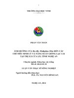 Ảnh hưởng của Bo (B), Molipđen (Mo) đến các chỉ tiêu sinh lý và năng suất giống lạc L14 tại thị xã Của Lò, tỉnh Nghệ An