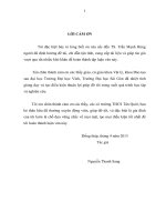 Ảnh hưởng đồng thời của môi trường khuếch đại và môi trường hấp thụ bão hòa lên quá trình biến đổi xung Lorentz trong buồng cộng hưởng vòng