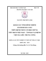 KHÓA LUẬN tốt NGHIỆP KHẢO sát TÌNH HÌNH NHIỄM ESCHERICHIA COLI TRÊN BỆNH NHÂN có hội CHỨNG TIẾT DỊCH NIỆU đạo – âm đạo tại BỆNH VIỆN DA LIỄU TRUNG ƯƠNG