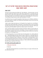 Xử lý nước thải bằng phương pháp sinh học hiếu khí