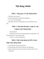 Tình hình thi hành và một số ví dụ vi phạm Luật Chứng khoán