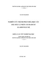 Nghiên cứu thành phần hoá học cây Dấu dầu lá nhẵn (Tetradium Glabrifolium)