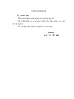 Bước đầu nghiên cứu nhân nuôi hai chủng nấm linh chi thu thập từ khu bảo tồn thiên nhiên kẻ gỗ