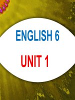 Bài giảng tiếng anh 6  Unit 1