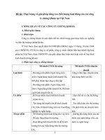 Thực trạng và giải pháp nâng cao chất lượng hoạt động của các công ty chứng khoán tại Việt Nam