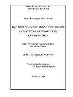 đặc điểm ngôn ngữ trong tiểu thuyết 3.3.3.9 [Những mảnh hồn trần] của Đặng Thân