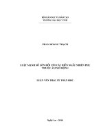 Luật mạnh số lớn đối với các biến ngẫu nhiên phụ thuộc âm mở rộng