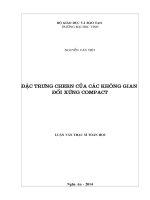 Đặc trưng Chern của các không gian đối xứng Compact