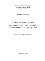 Tách và xác định cấu trúc một số hợp chất từ cây bình bát (annona reticulata l ) ở việt nam