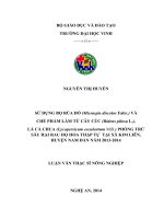 Sử dụng bọ rùa đỏ (micraspis discolor fabr ) và chế phẩm làm từ cây cúc (bidens pilosa l ), lá cà chua (lycopersicum esculentum mill ) phòng trừ sâu hại sâu bọ hoa thập tự tại xã kim liên, huyện nam đàn năm 2013   2014