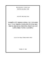 Nghiên cứu định lượng các vitamin b2, c và e trong nấm lớn ở vùng bắc trung bộ bằng phương pháp sắc ký lỏng hiệu năng cao HPLC