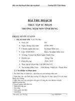 BÀI THU HOẠCH THỰC tập sư PHẠM TRƯỜNG mầm NON VĨNH HƯNG