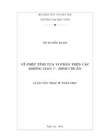 Về phép tính tựa vi phân trên các không gian p  định chuẩn