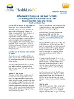 Bồn Nước Nóng và Hồ Bơi Tư Gia Các Hướng Dẫn về Sức Khỏe và An Toàn