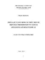Phân lập và xác định cấu trúc một số hợp chất triterpenoit từ nấm lỗ (hexagonia apiaria) ở nghệ an