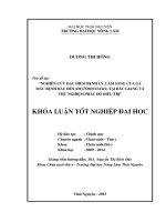 Nghiên cứu đặc điểm bệnh lý, lâm sàng của gà mắc bệnh đầu đen (Histomoniasis) tại Bắc Giang và thử nghiệm phác đồ điều trị