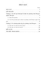 Một số kết quả đánh giá ổn định và phương pháp lặp cho phương trình burgers