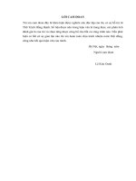 Giải pháp nâng cao hiệu quả hoạt động kinh doanh của Ngân hàng TMCP Á Châu thông qua phân tích BCTC