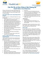 Các Rủi Ro về Sức Khỏe ở Nơi Hoang Dã - Health Risks in the Wilderness