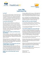 Bệnh Lao (TB) - Tuberculosis (TB)