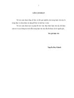 Sâu cuốn lá nhỏ (cnaphalocrocis medinalis guenee) lúa và biện pháp phòng trừ trong vụ xuân 2014 tại huyện diễn châu, tỉnh nghệ an