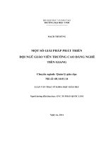 Một số giải pháp phát triển đội ngũ giáo viên trường cao đẳng nghề tiền giang