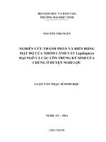 Nghiên cứu thành phần và biến động mật độ cảu nhóm cánh vảy lepidoptera hại ngô và các côn trùng ký sinh của chúng ở huyện nghi lộc
