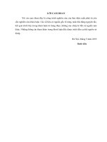 Giải pháp phát triển dịch vụ ngân hàng bán lẻ tại Ngân hàng TMCP Đầu tư và Phát triển Việt Nam