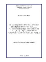 So sánh đặc điểm hình thái, sinh học của một số chủng nấm trichoderma và đánh giá hiệu lực phòng trừ nấm asprgillus niger hại lạc của chúng vụ xuân 2014 tại huyện nghi lộc   nghệ an