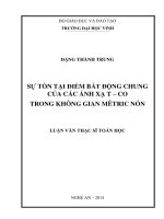 Sự tồn tại điểm bất động chung của các ánh xạ t CO trong không gian metric nón