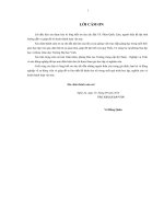 Một số giải pháp phát triển đội ngũ giáo viên trường trung cấp kỹ thuật, nghiệp vụ vinh