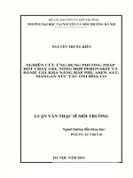 nghiên cứu ứng dụng phương pháp đốt cháy gel tổng hợp perovskit và đánh giá khả năng hấp phụ asen, sắt, manga xúc tác oxi hóa CO
