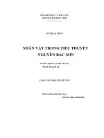 Nhân vật trong tiểu thuyết nguyễn bắc sơn
