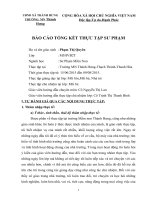 BÁO cáo TỔNG kết THỰC tập sư PHẠM tại trường mầm non thành hưng