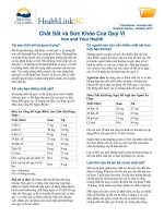 Chắt Sắt và Sức Khỏe Của Quý Vị - Iron and Your Health