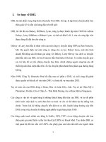 Tiểu luận môn vận tải bảo hiểm vận tải quốc tế Nghiên cứu về hoạt động của tập đoàn chuyển phát DHL