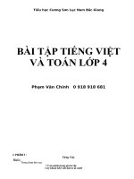 BÀI tập TIẾNG VIỆT và TOÁN lớp 4