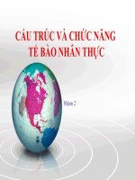 CẤU TRÚC và CHỨC NĂNG tế bào NHÂN THỰC