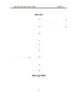 VITAMIN VÀ CHẤT CHỐNG OXY HÓA (VITAMIN C. TOCOPHEROL. LYCOPENE. ANTHOCYANIN)