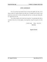 Hoàn thiện công tác thẩm định dự án vay vốn đầu tư tại Ngân hàng Nông nghiệp và Phát triển Nông thôn Việt nam – chi nhánh Láng Hạ