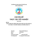 Hoàn thiện hệ thống kênh phân phối cho sản phẩm Ztv của công ty truyền thông đa phương tiện VTC