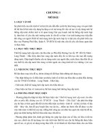 Thiết kế mạng lưới cấp nước cho khu dân cư phía bắc đường cao tốc thành phố hồ chí minh – long thành – dầu giây, phường phú hữu, quận 9, TP HCM