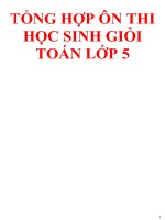 TỔNG hợp ôn THI học SINH GIỎI môn TOÁN lớp 5