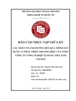 Các nhân tố ảnh hưởng đến quá trình xây dựng và phát triển thương hiệu của tổng công ty công nghiệp xi măng việt nam (VICEM)