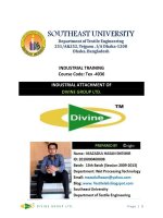 INDUSTRIAL ATTACHMENT OF DIVINE GROUP LTD