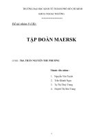 Tiểu luận môn vận tải bảo hiểm chủ đề TẬP ĐOÀN MAERSK