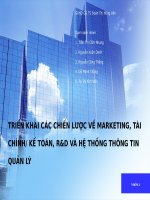 TRIỂN KHAI CÁC CHIẾN LƯỢC VỀ MARKETING, TÀI CHÍNH KẾ TOÁN, R&D VÀ HỆ THỐNG THÔNG TIN QUẢN LÝ