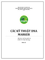 các kỹ thuật DNA Markers